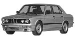 BMW E28 B256F Fault Code